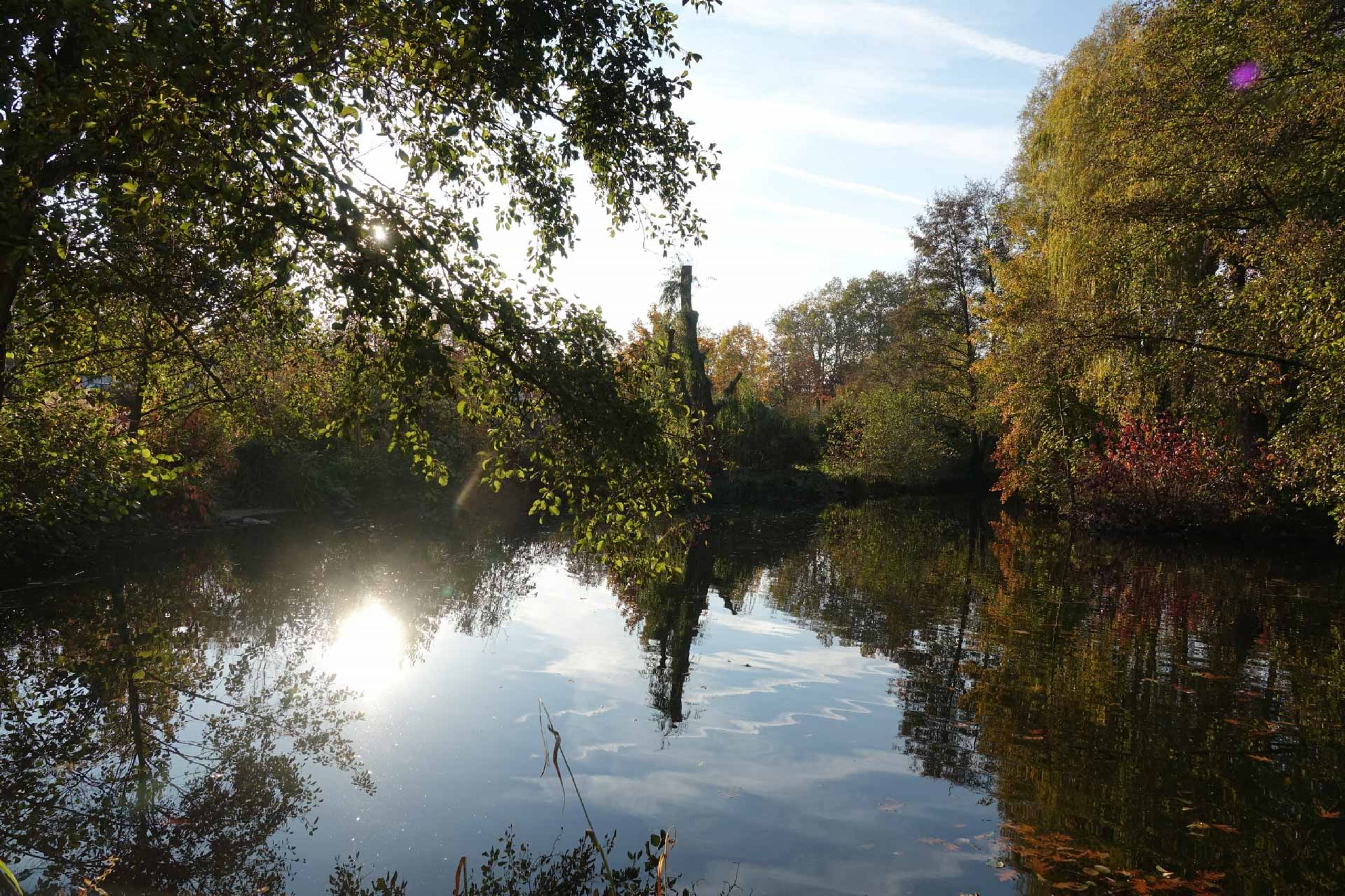 Zentral und ruhig gelesen - Hotel & Restaurant Sterkel in Rödermark (Urberach)